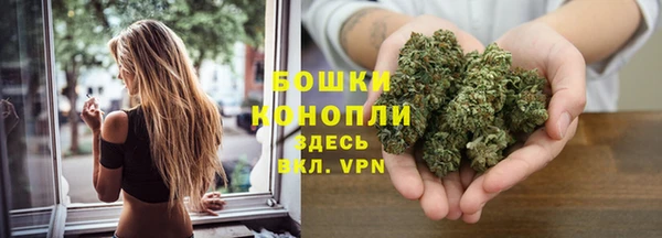 spice Арсеньев