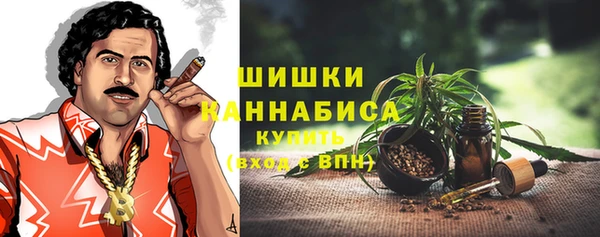spice Арсеньев