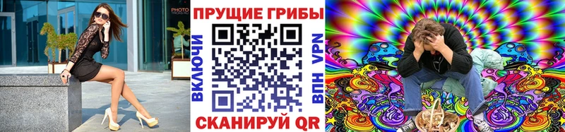 закладка  сайты даркнета Telegram  Галлюциногенные грибы Magic Shrooms  Новоаннинский 